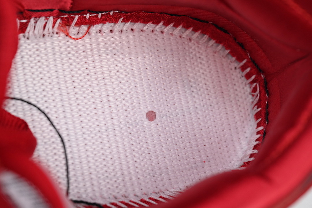 God Batch The Wizard of Oz x Dunk Low SB 'Poppy Field' FZ1291-600