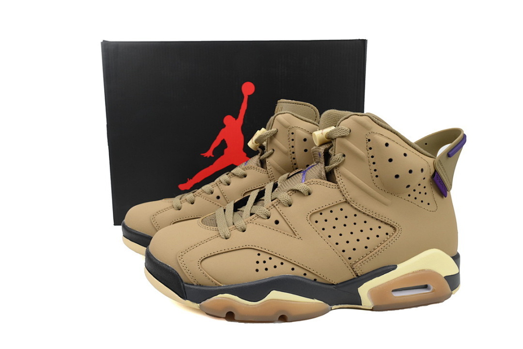 LJR Air Jordan 6 Gore-Tex "Brown Kelp FD1643-300