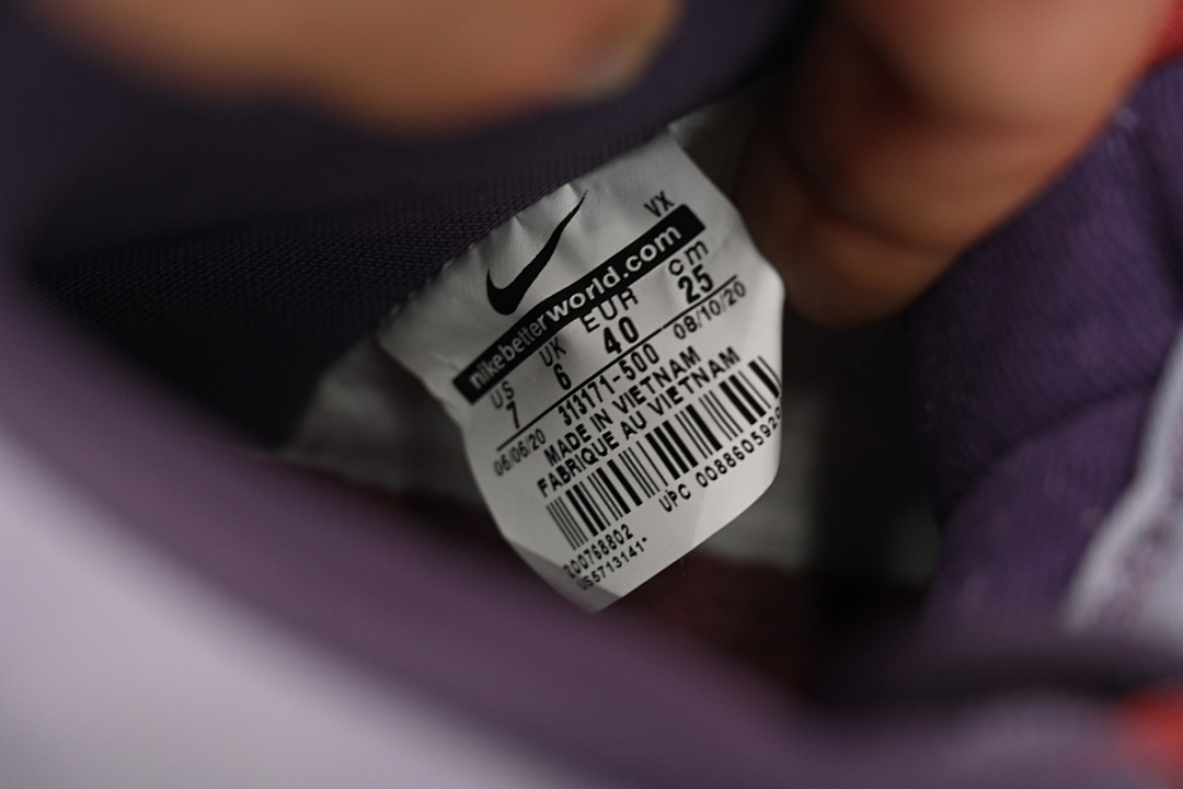  LJR  Nike Dunk SB High Daybreak Plum  313171-500