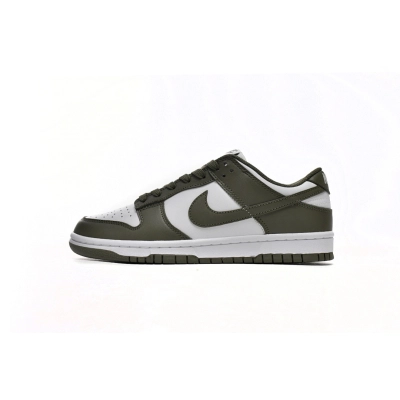 LJR Batch Nike Dunk Low Medium Olive DD1503-120 01