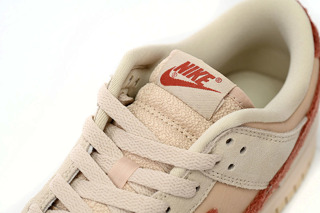 LJR Batch Nike Dunk Low WMNS “Terry Swoosh” DZ4706-200
