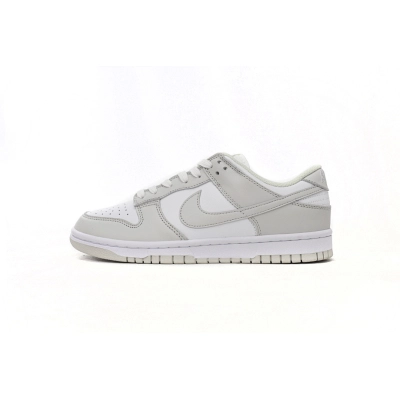 LJR Batch Nike Dunk Low Photon Dust DD1503-103 01
