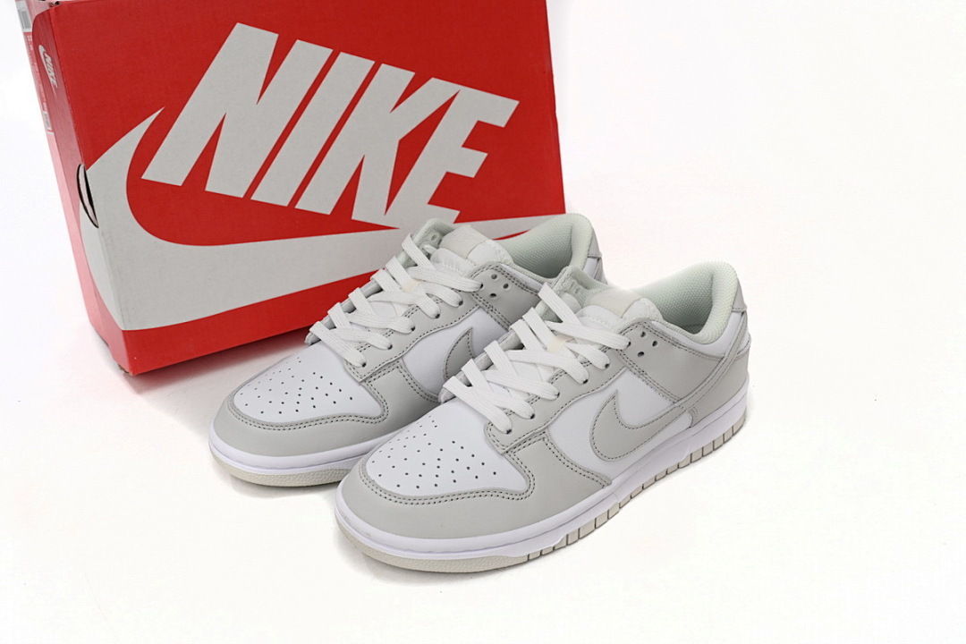 LJR Batch Nike Dunk Low Photon Dust DD1503-103