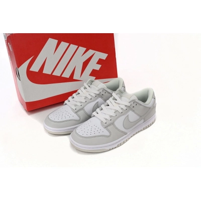 LJR Batch Nike Dunk Low Photon Dust DD1503-103 02
