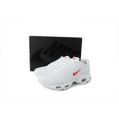 FC God Batch Supreme x Nike Air Max Plus TN 'White' DA1472-100  02