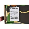 Bstsneaker-Bapesta Bape Sk8 Sta Low 1G70-191-032