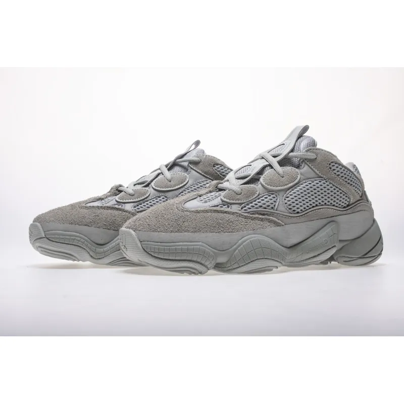 Budget BASF Boost Adidas Yeezy Boost 500 Salt