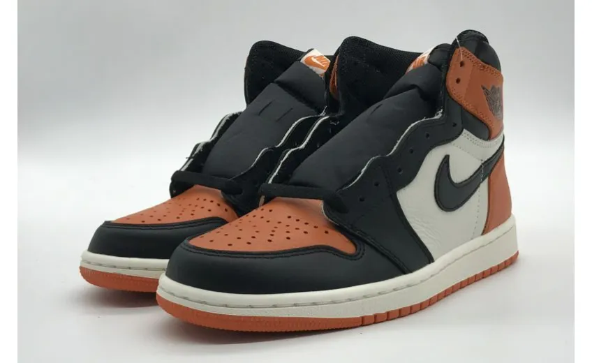 Bstsneaker- Air Jordan 1 Retro Shattered Backboard 555088-005 