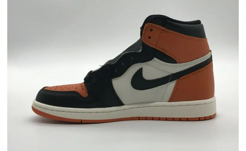 Bstsneaker- Air Jordan 1 Retro Shattered Backboard 555088-005 