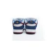 Bstsneaker- Nike Dunk Low FTC Finally 313170-463 