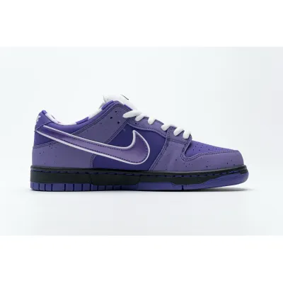  Nike SB Dunk Low Concepts Purple Lobster BV1310-555  02