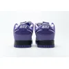 Bstsneaker-Nike SB Dunk Low Concepts Purple Lobster BV1310-555 
