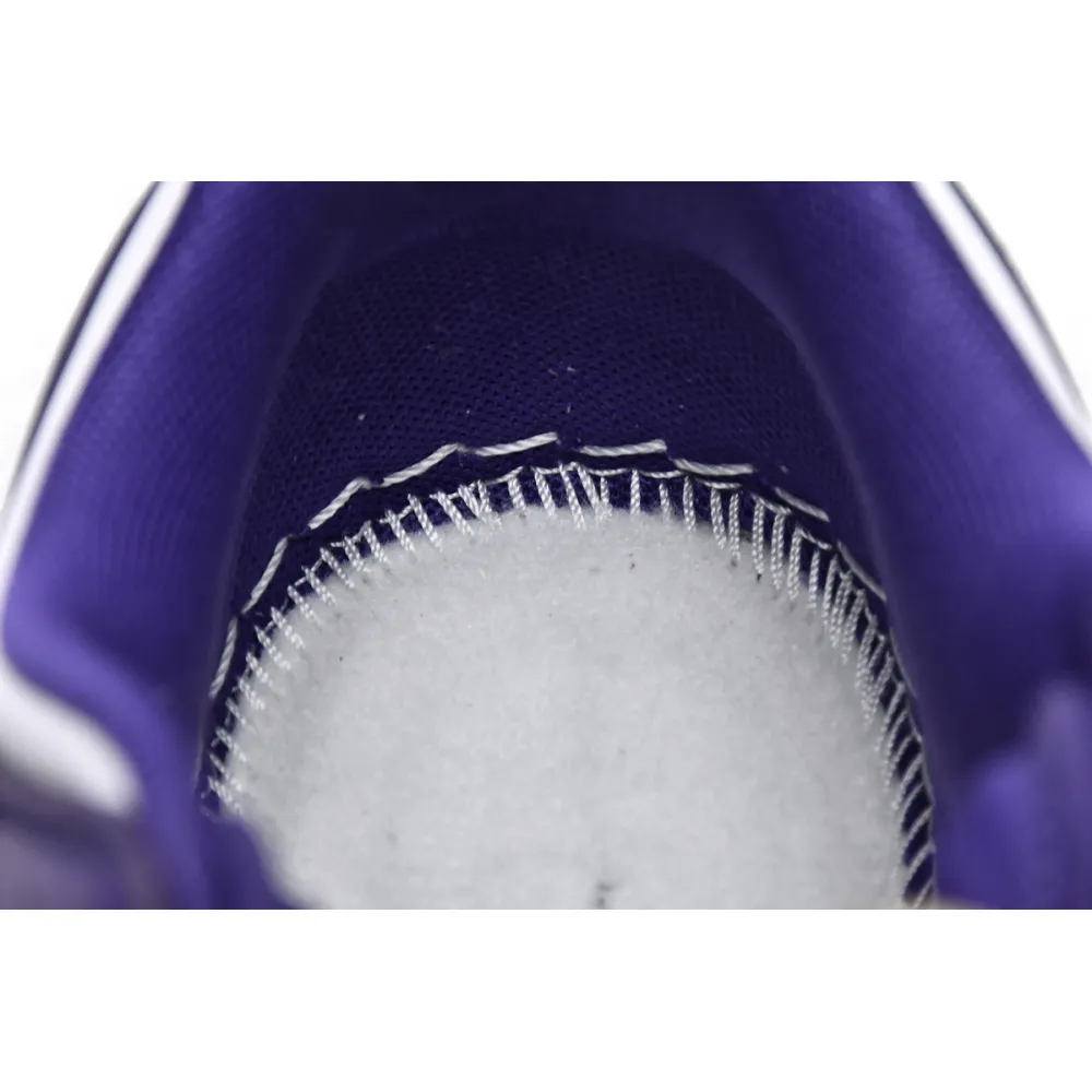  Nike Dunk Low Championship Court Purple DD1391-104 