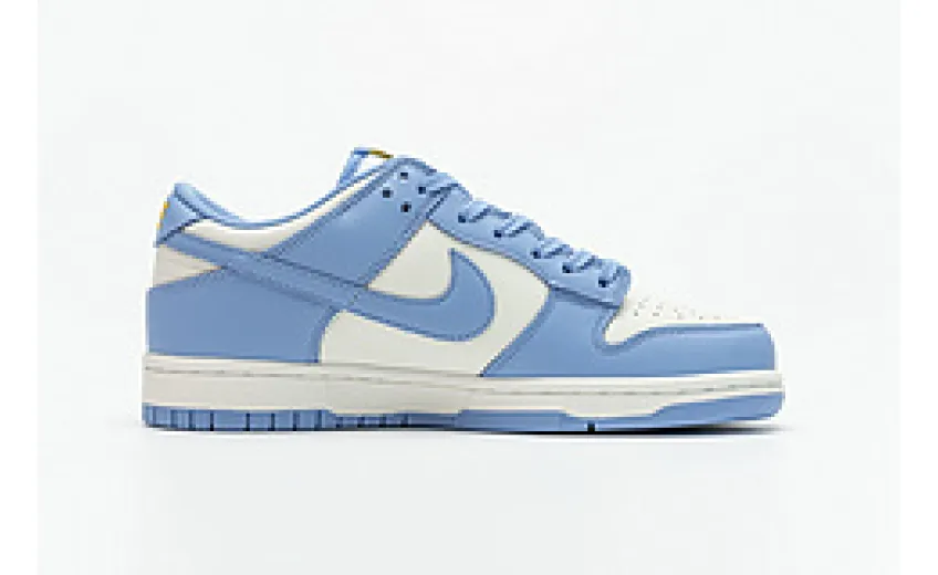 Bstsneaker-Nike Dunk Low Coast (W) DD1503-100 