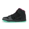 Bstsneaker- Nike SB Dunk High Premier Northern Lights 313171-063 
