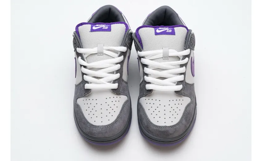 Bstsneaker- Nike Dunk SB Low Purple Pigeon 304292-051 
