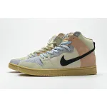  Nike SB Dunk High Pro“Spectrum” CN8345-001  
