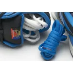 Bstsneaker- Nike SB Dunk Low Instant Skateboards CZ5128-400  