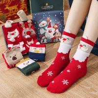 Christmas Gift Box Socks (4 pairs of socks)