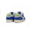 Bstsneaker- Nike SB Dunk Low Pro Fly Streetwear DQ5130-400 