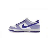 Nike Dunk Low Blueberry DZ4456-100