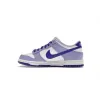 Bstsneaker-Nike Dunk Low Blueberry DZ4456-100