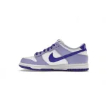 Bstsneaker-Nike Dunk Low Blueberry DZ4456-100