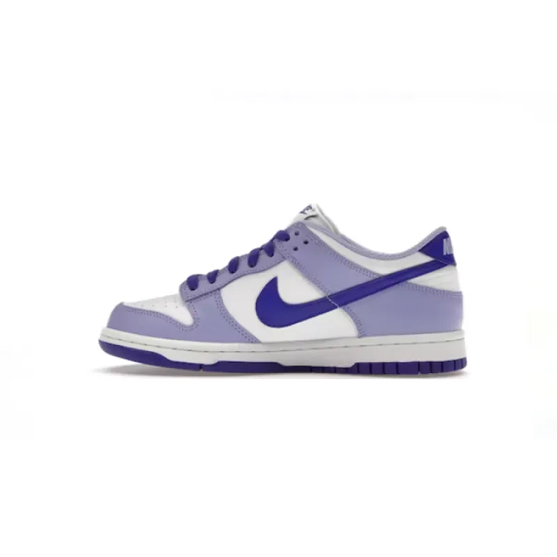 Bstsneaker-Nike Dunk Low Blueberry DZ4456-100