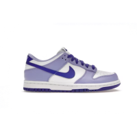 Nike Dunk Low Blueberry DZ4456-100
