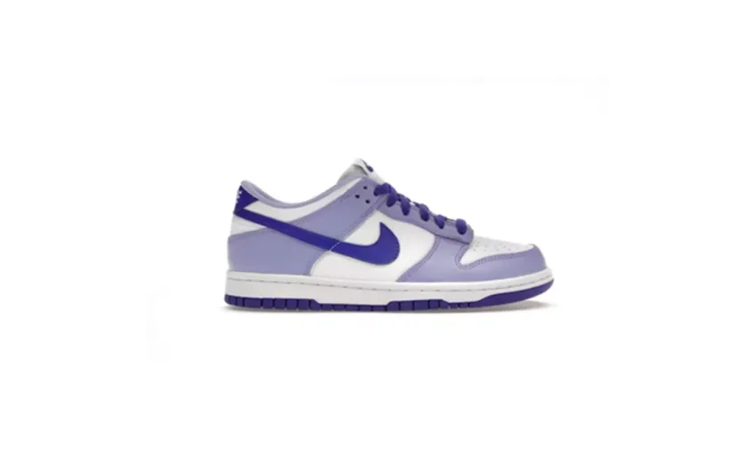 Bstsneaker-Nike Dunk Low Blueberry DZ4456-100