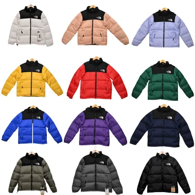 The North Face Down Jacket 01