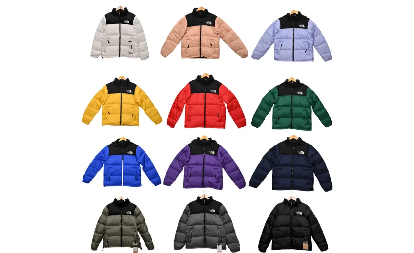 Bstsneaker-The North Face Down Jacket