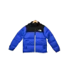 Bstsneaker-The North Face Down Jacket