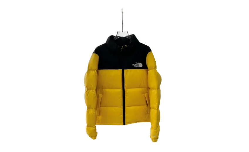 Bstsneaker-The North Face Down Jacket 1996