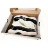 Bstsneaker-Air Jordan 11 Neapolitan AR0715-101
