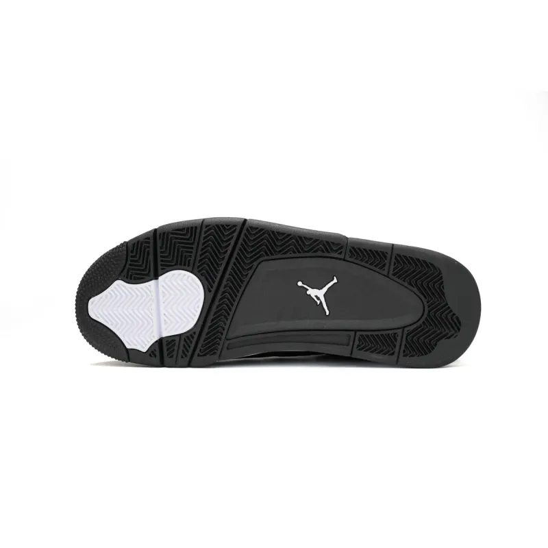 Air Jordan 4 White Thunder FQ8138-001
