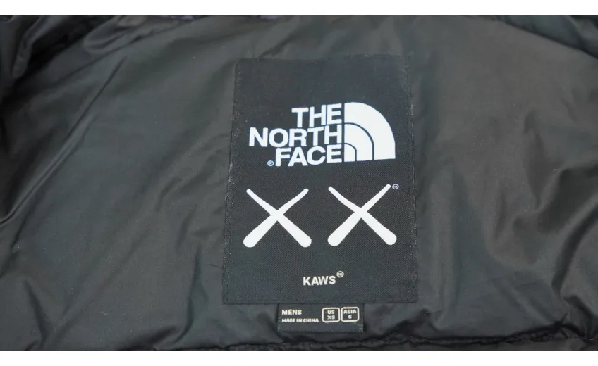 Bstsneaker-The North Face x Kaws Retro 1996 Nuptse Jacket