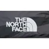 Bstsneaker-The North Face x Kaws Retro 1996 Nuptse Jacket