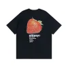Bstsneaker-Stussy T-Shirt XB848