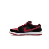 Bstsneaker-Nike SB Dunk Low J Pack Bred 304292-039
