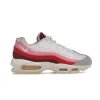 Bstsneaker-Nike Air Max 95 Anatomy of Air GID DM0012-600