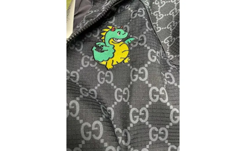 Bstsneaker-GUCCI Hoodie HD01