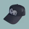 Bstsneaker-Amiri Caps - AM018