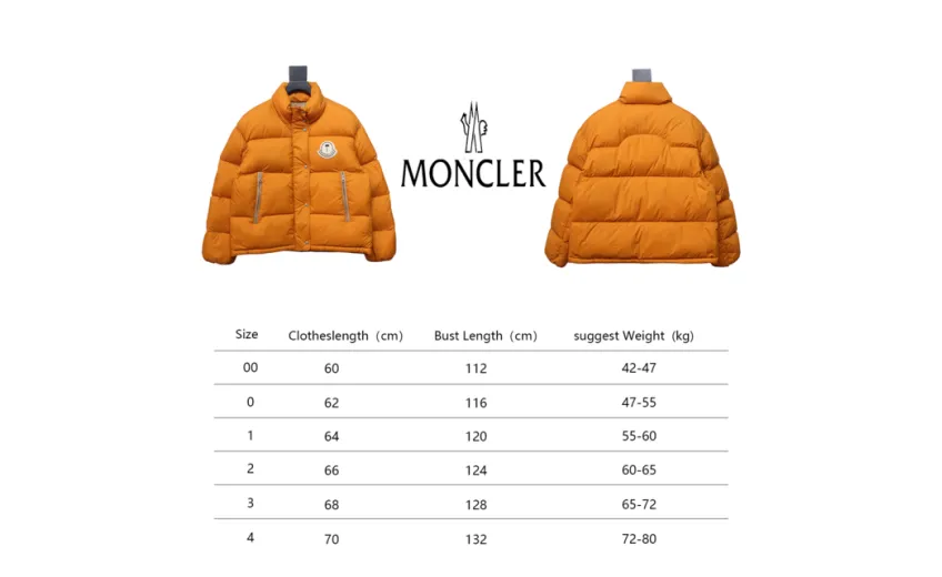 Bstsneaker-Moncler Antora short stand collar down jacket