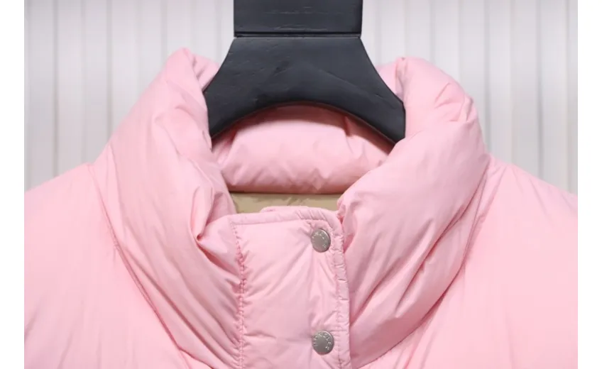 Bstsneaker-Moncler Antora short stand collar down jacket Pink
