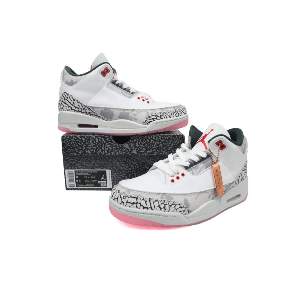  Air Jordan 3 Retro  Wings2  HM6993-100