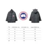 Bstsneaker-08 Expedition Canada Goose Down Jacket (High-end) grey 550