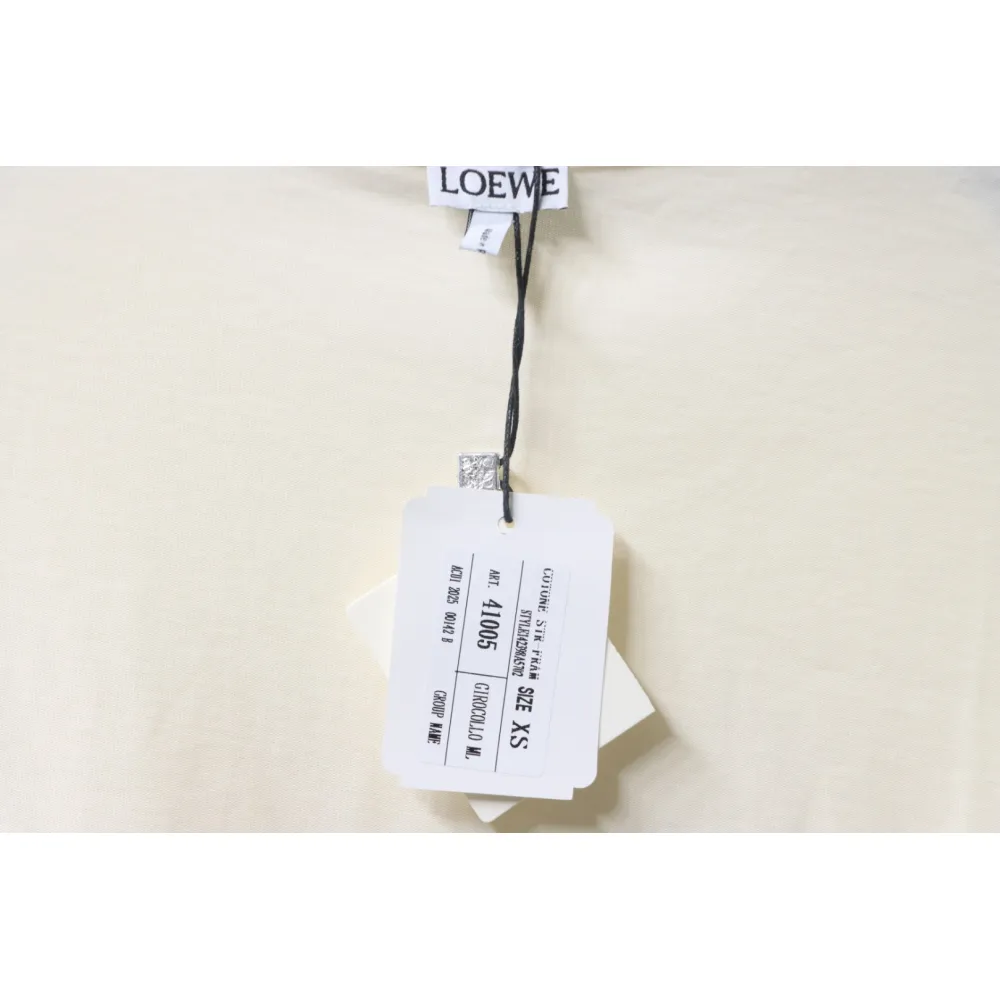 Bstsneaker-Loewe Graffiti Painted Logo T-shirt 120 