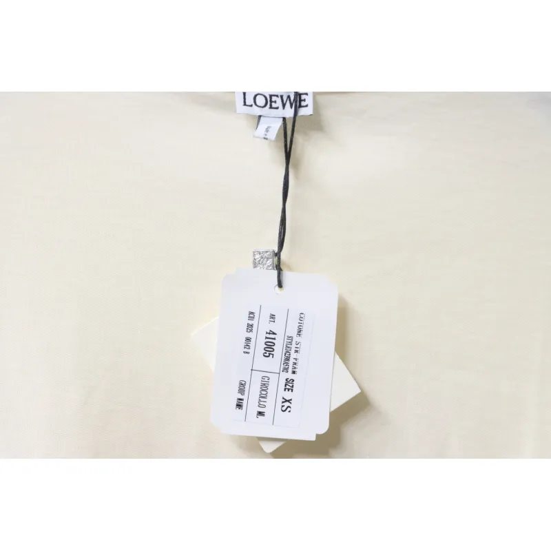 Bstsneaker-Loewe Graffiti Painted Logo T-shirt 120 