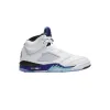 Bstsneaker-Air Jordan 5 Retro Grape（2025）HQ7978-100